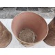 lot de 7 Pots a Pharmacie 19 éme