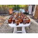 Lot de 41 Flacons , Bouteilles de Pharmacie Verre Marron