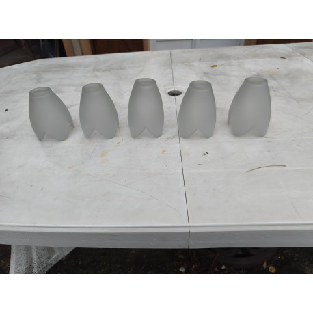 lot de 5 Tulipes en Pate de Verre Opalécentes