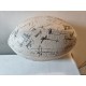 Ballon de Rugby Officiel Coupe du Monde 91 All Blacks Signé
