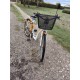 Vélo Femme Merecier